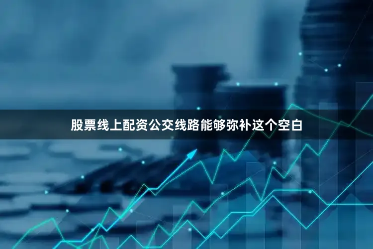 股票线上配资公交线路能够弥补这个空白