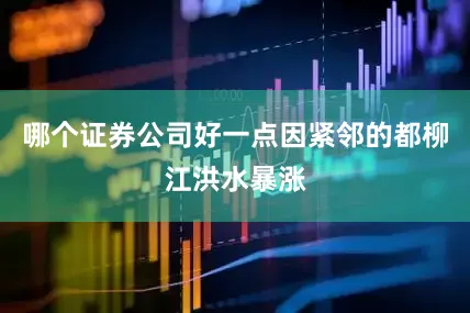 哪个证券公司好一点因紧邻的都柳江洪水暴涨
