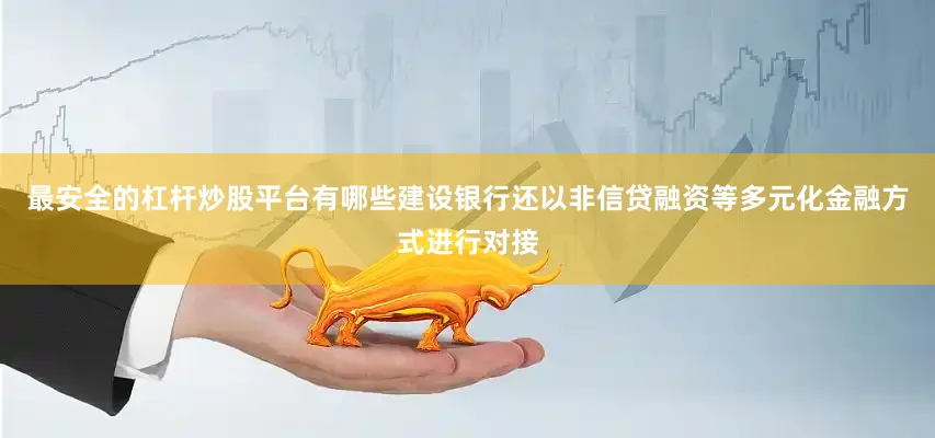 最安全的杠杆炒股平台有哪些建设银行还以非信贷融资等多元化金融方式进行对接